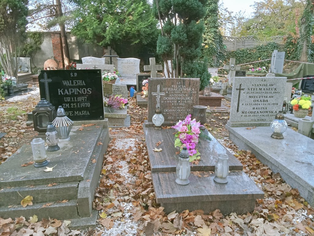 Grób Antonina DOBROWOLSKIA