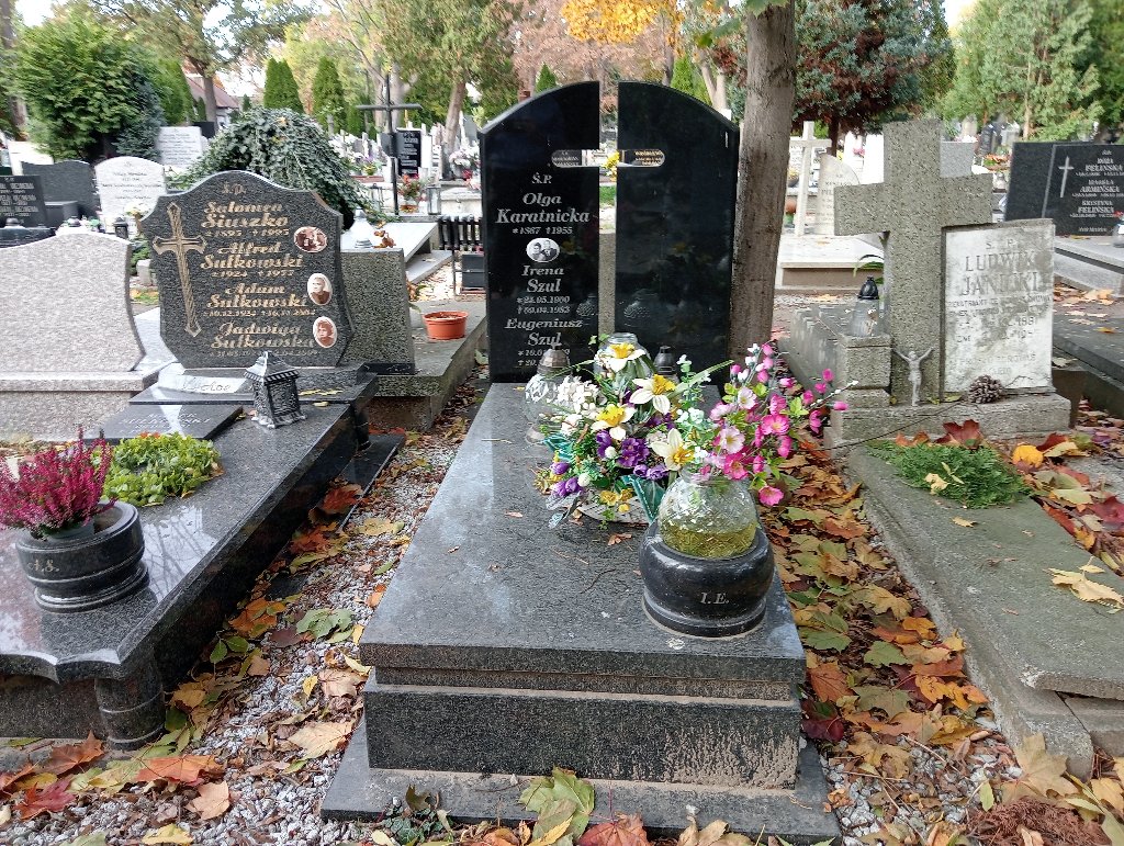 Grób EUGENIUSZ SZUL 