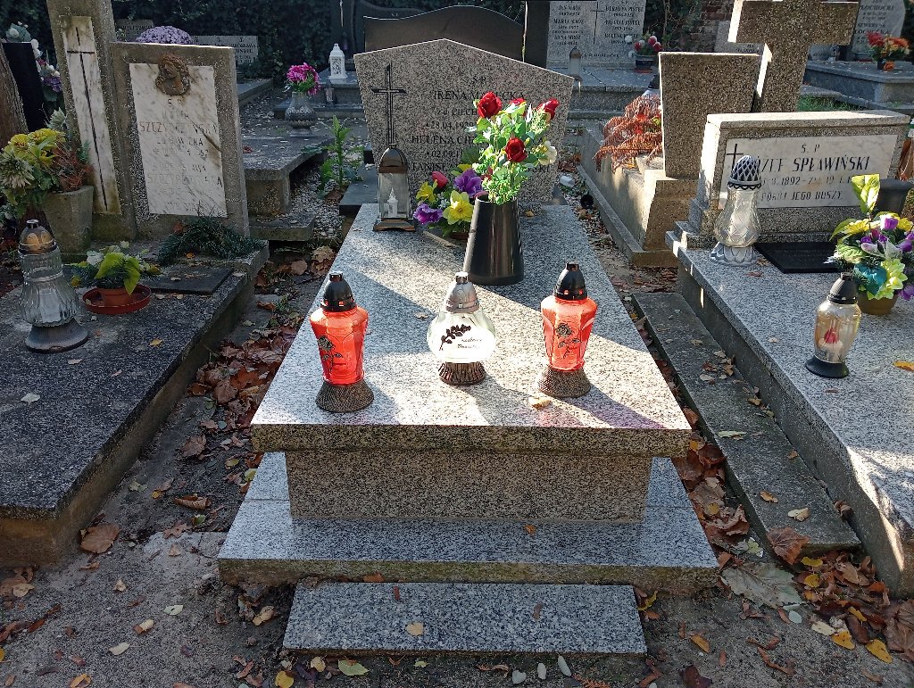 Grób Stanisław Ciechanowski