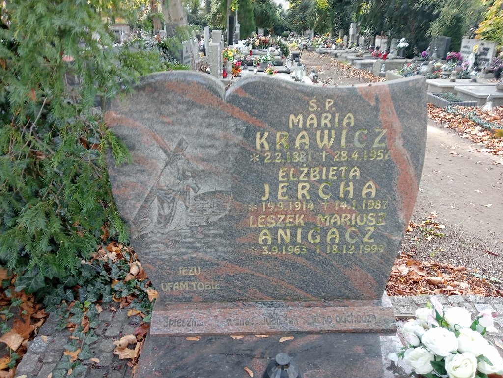 Grób LESZEK  ANIGACZ 