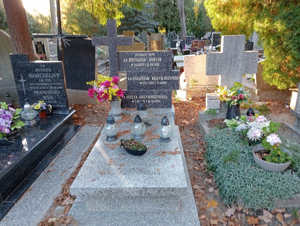 Grób Józefa Krzywoszyńska