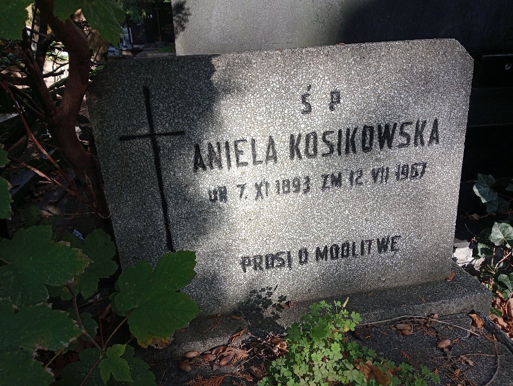 Zdjęcie grobu