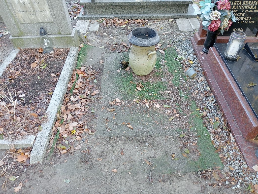 Grób JADWIGA LICHNEROWICZ