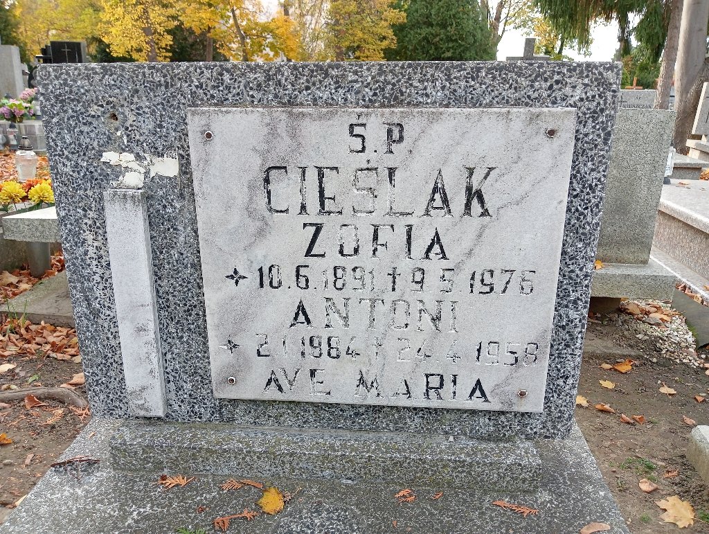 Zdjęcie grobu