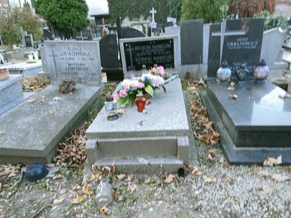 Grób Michalina Nakoneczna